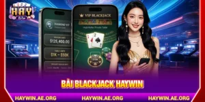 Bài blackjack Haywin