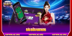 Bài Bửu Haywin