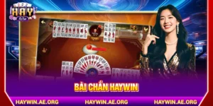 Bài Chắn Haywin