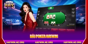 Bài Poker Haywin