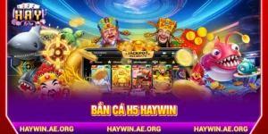Bắn cá H5 Haywin