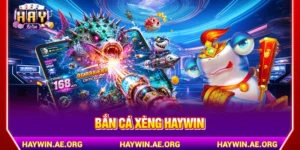 Bắn Cá Xèng Haywin