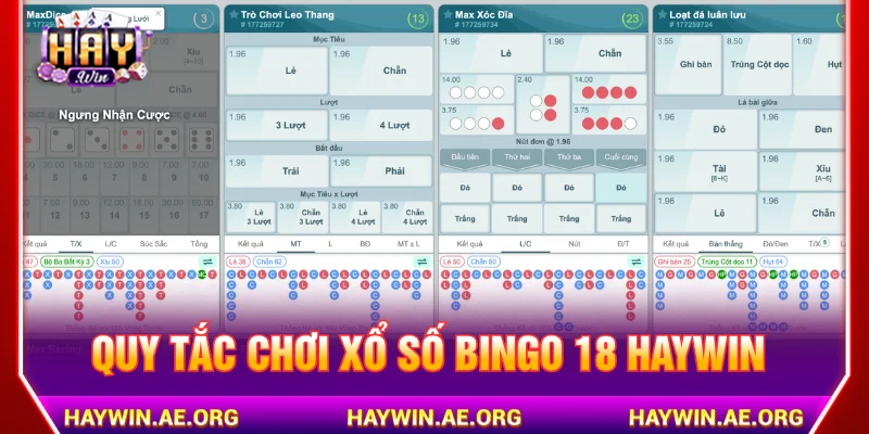 Chơi xổ số Bingo 18 HAYWIN có những quy tắc cơ bản nào?