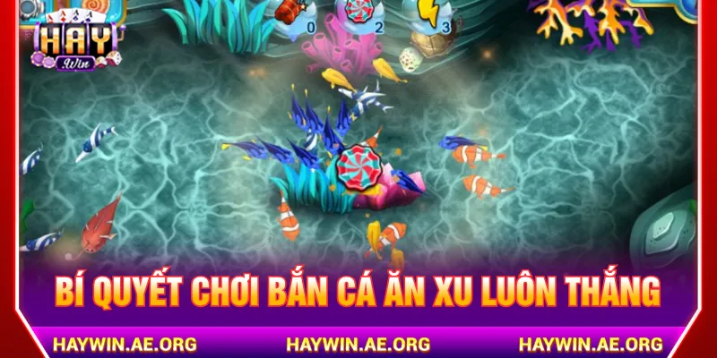 Chọn đúng mục tiêu để bắn nhằm tránh lãng phí lượng đạn