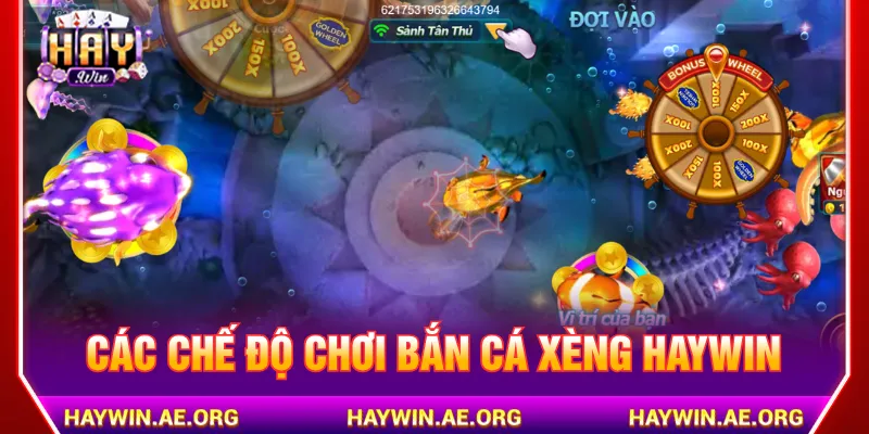 Đa dạng các chế độ chơi dành cho người tham gia Haywin