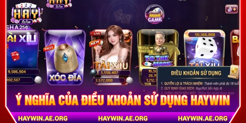 Điều khoản sử dụng HAYWIN giúp người chơi minh bạch
