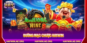 Đường mạc chược Haywin
