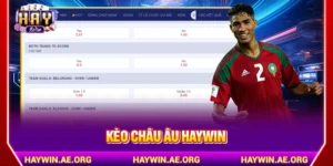Kèo châu Âu Haywin