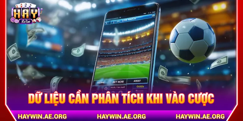 Kèo châu Âu Haywin cần phân tích các thông tin thực tế