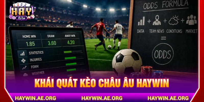Kèo châu Âu Haywin thiết lập cách tham gia dễ tiếp cận