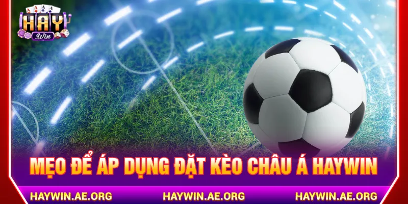 Luôn theo dõi phong độ và biến động tỷ lệ cược để phân tích