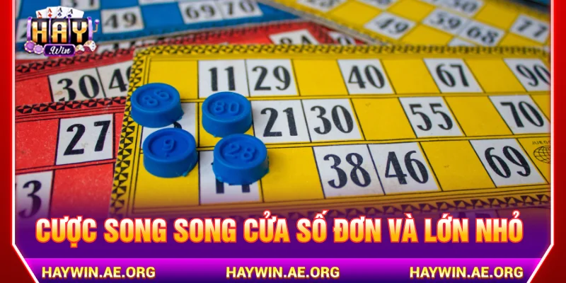 Mẹo chơi xổ số Bingi 18 HAYWIN của cao thủ là đặt cược song song
