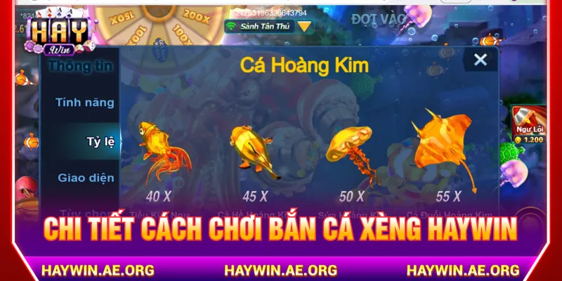 Nắm rõ luật Bắn Cá Xèng Haywin giúp tăng cơ hội thắng