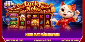 Neko May Mắn Haywin