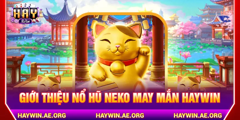 Neko May Mắn Haywin mang chủ đề tài lộc và may mắn