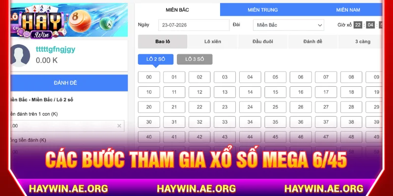 Quy trình đăng ký và tham gia đặt cược tại sảnh xổ số Mega 6/45 HAYWIN