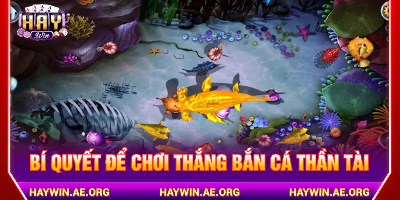 Tận dụng mẹo để chơi Bắn cá Thần Tài Haywin luôn thắng